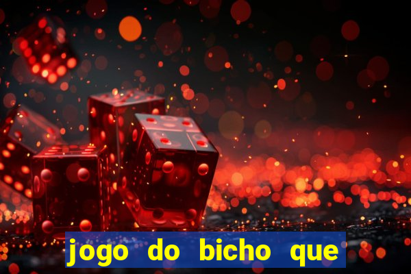 jogo do bicho que paga no pix